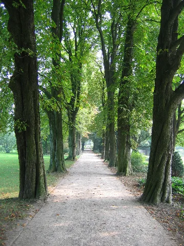 Poensgenpark Kastanienallee 2006 09 17 13 58 19
