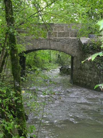 Pont Essertines
