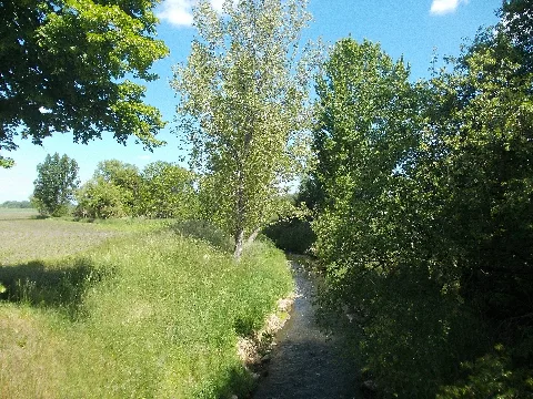 Kirchgasse
