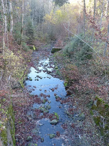 Pully La Paudèze Sous La Farqua