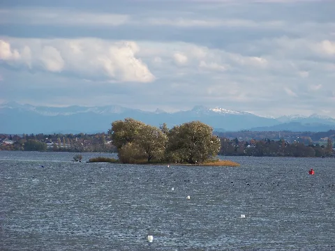 Radolfzell Am Bodensee, Das Naturschutzgebiet Mettnau
