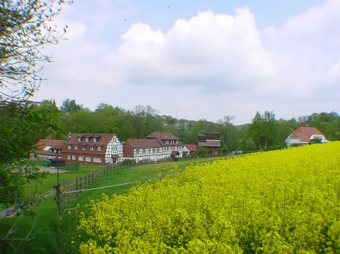 Rapsfelder Vor Der Hammermühle Panoramio