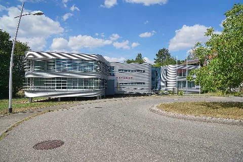 Rathaus Grafenau, Württemberg 02