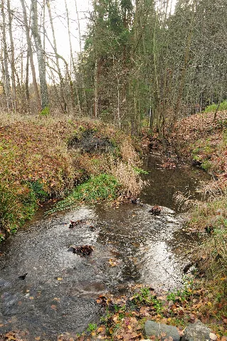 Bad Brambach, OT Raunergrund: Verlauf des Rauner Bachs am “Rauner Hammer” (Vogtlandkreis, Freistaat Sachsen, Deutschland)