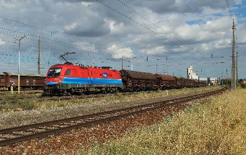 Rch 1116.011