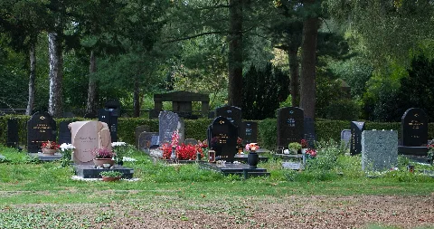 Re Mon 138 Juedischer Friedhof Nordcharweg 2018 09 15 Recklinghausen 6790