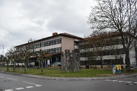 Ententeich