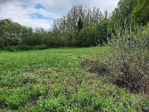 Reusenberg, Crailsheim 202105 07