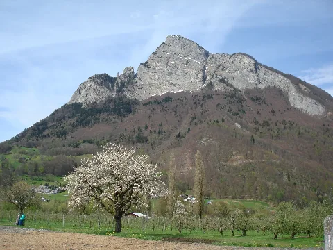 Rheinau Panoramio (1)