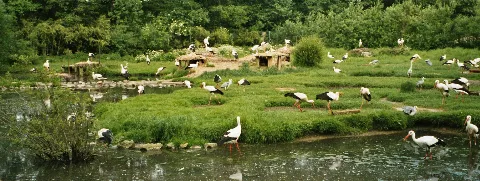 Rheine Tierpark Stoerche