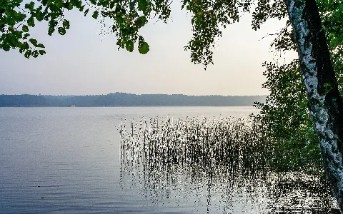 This is a picture of the protected area listed at WDPA under the ID 324045 Title: View of the Großer Linowsee near Rheinsberg Place: Municipal part Linowsee, District Linow, City of Rheinsberg, Ostprignitz-Ruppin District, Brandenburg, Germany, Europe Field name: Großer Linow-See Area name 1: Ruppiner Wald- und Seengebiet Category 1: Protected landscape area Area number: 791-8bg Date of the regulation 1: 12/10/2002 Area name 2: Stechlin-Ruppiner Land Nature Park Category 2: Nature park Date of the regulation 2: 07/07/2001 Description: The large protected area has a total area of 860 km² and is 62% forested. It borders on the Uckermark Lakes Nature Park. The region is characterized by a long chain of lakes (more than 100), including many clear water lakes rare there. Ecologically valuable are the large-scale beech forests. Landschaftsschutzgebiet: Landschaftsschutzgebiet Ruppiner Wald- und Seengebiet Title Landschaftsschutzgebiet Ruppiner Wald- und Seengebiet Instance of Landschaftsschutzgebiet and protected area Inception 18 March 2003 and 2003 Area 48175 hectare Located in the administrative territorial entity Oberhavel District and Ostprignitz-Ruppin District Naturpark: Stechlin-Ruppiner Land Nature Park Title Stechlin-Ruppiner Land Nature Park Instance of Naturpark Inception 7 July 2001 Area 680 square kilometre Located in the administrative territorial entity Gransee, Großwoltersdorf and Lindow (Mark) lake: Großer Linowsee Title Großer Linowsee Instance of lake Located in the administrative territorial entity Brandenburg