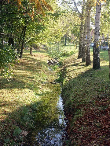 Rietzschke In Mölkau