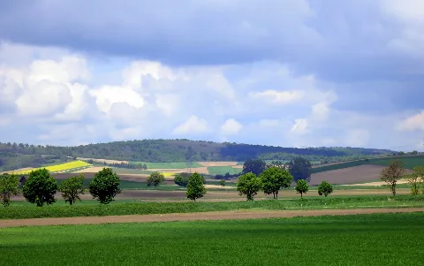 Rohrwald Donaugraben
