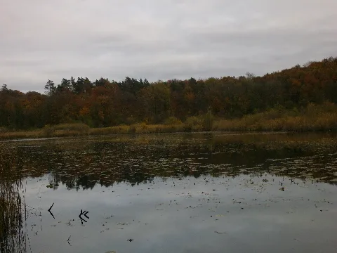 Rokiersee