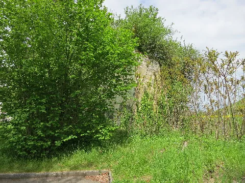 Roost A 3836 02