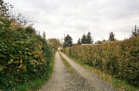 Rosenthal 10 13 (35) Lorbeerweg