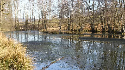 Jossastraße