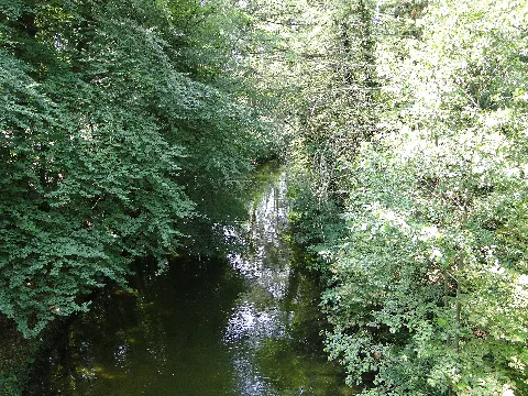 Salem Schaalseekanal 2011 07 16 028