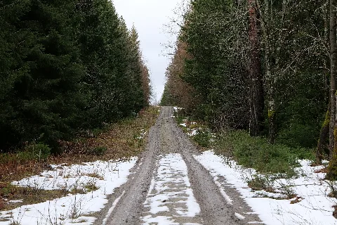 Salzleckenweg 2020 03 11 02