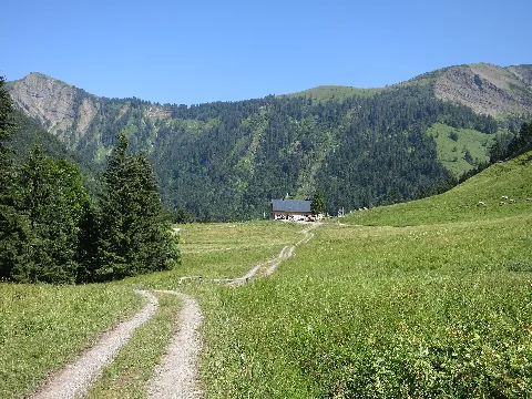 Sattelalpe04