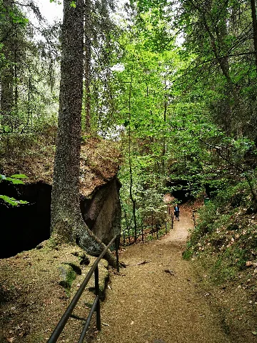 Saxon Switzerland National Park 48