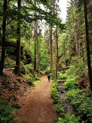 Saxon Switzerland National Park 49