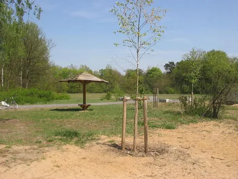 Schanzenwald 6 Berlin