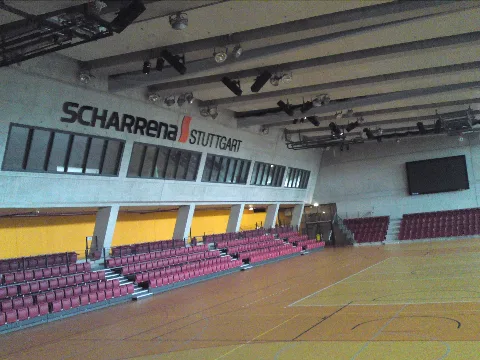 Scharrena 11 05 24