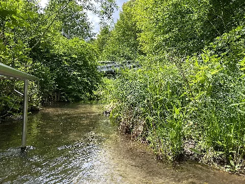 Schleifermoosach