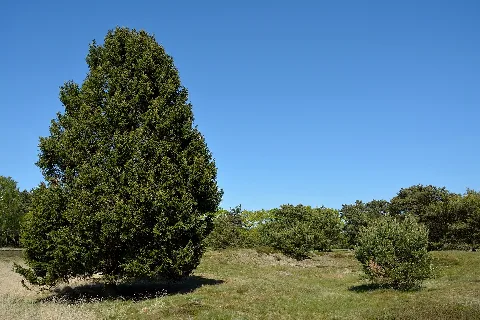 Schleswig Holstein, Bark, Naturschutzgebiet 30 Nik 4209