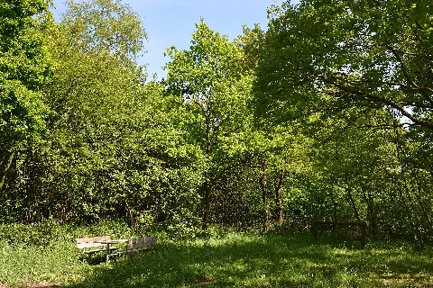 Schleswig Holstein, Mildstedt, Naturerlebnisraum Nik 6523