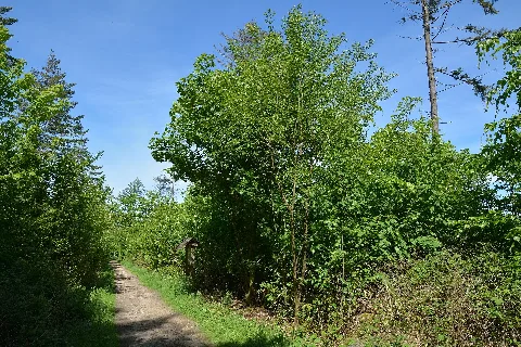Schleswig Holstein, Mildstedt, Naturerlebnisraum Nik 6527