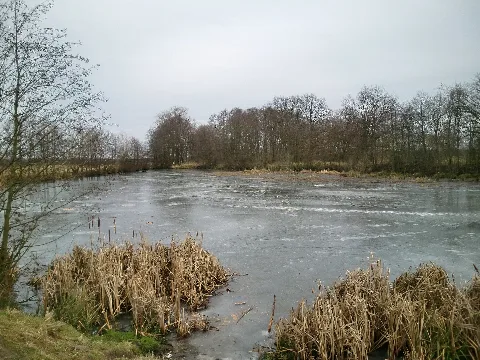 Schleußer Teich