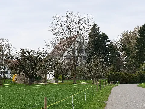 Schloss Gündelhart P1030138