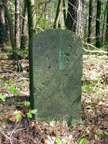 Schmannewitz Forstgrenzstein 1