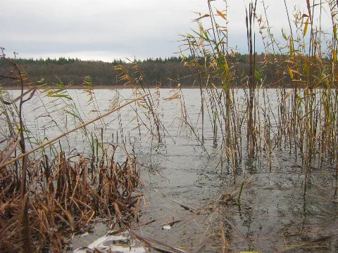 Schmiedegrundsee 29 11 2009 159