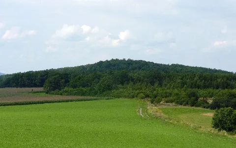 Schönbrunner Berg Lausitzer Bergland Großhennersdorf 2010 08 04 00