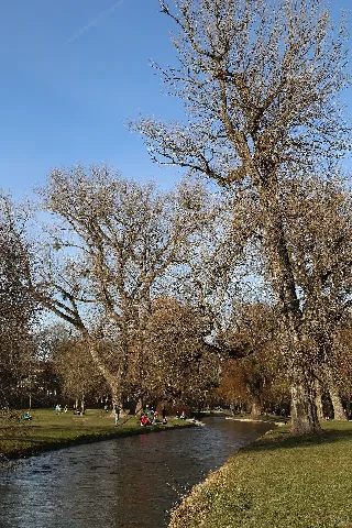 Schwabinger Bach Englischer Garten Muenchen 10