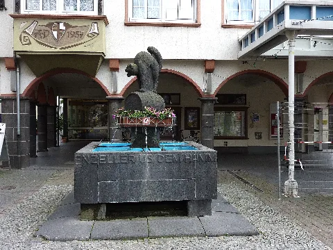 Schwarze Katz Brunnen In Zell