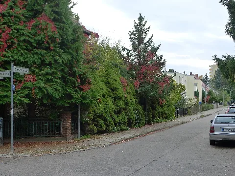 Schwarzkogelweg