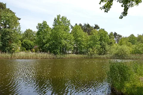See In Möser
