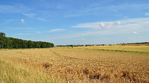 Landschaft auf der Hainleite, direkt an der B4 bei Oberspier, einem Ortsteil von Sondershausen, im thüringischen Kyffhäuserkreis.