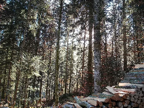 Sommerlicher Herbst Herrenstuhl Panoramio (1)