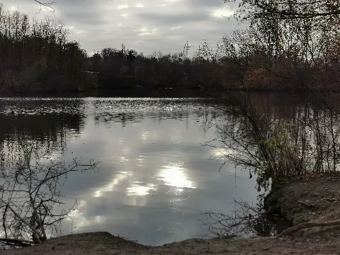 Spätnachmittag Im November An Den Harpener Teichen