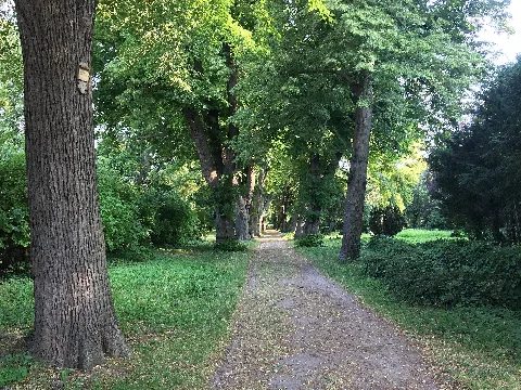 St. Jürgen Friedhof Stralsund 2019 004