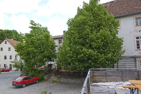 Stadt Vit (4)