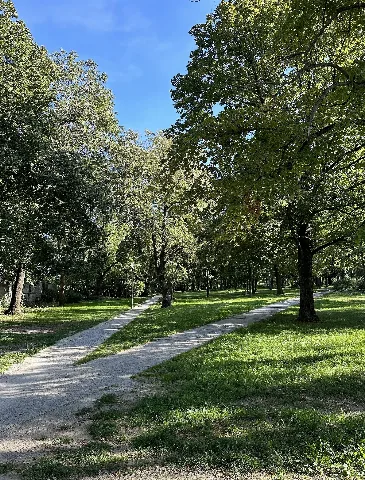 Stadtpark Alte Bibel In Bernburg 06