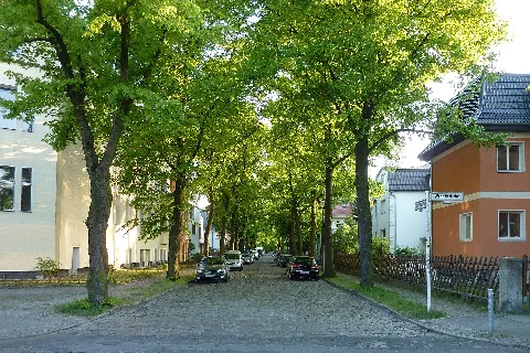 Stechlinstraße