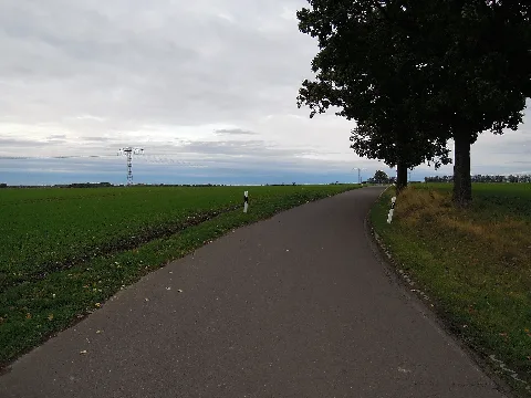Straße zwischen Hainichen und Otterwisch an der Gemeindegrenze Bad Lausick + Kitzscher -Blick nach Osten- Ende Oktober 2023