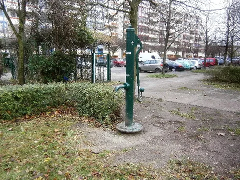 Der Straßenbrunnen 31 steht im Berliner Bezirk Pankow, Ortsteil Buch, in der Friedrich-Richter-Straße. Der Standort liegt dabei 50 Meter von der Wolfgang-Heinz-Straße (hinter Nummer 26) und an dem Weg neben dem Haus Friedrich-Richter-Straße 55.